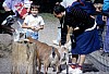 003 - Aalborg - Zoo - Michy e Stefy con le caprette