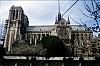 065 - Cattedrale di Notre Dame