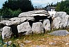 004 - Bretagna - Carnac - Valle deii menhir