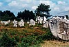 006 - Bretagna - Carnac - Valle deii menhir