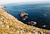 010 - Bretagna - Pointe du Raz - Scogliera