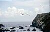 009 - Spiaggia libera tra Ribadeo e la Coruna