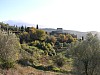 023 - San Quirico d'Orcia