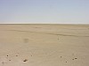 001 -  Chott el Jerid - il lago salato