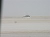 009 -  Chott el Jerid - il lago salato