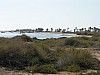 001 -  Isola di Jerba - Veduta dalla litoranea