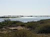 002 -  Isola di Jerba - Veduta dalla litoranea