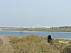 003 -  Isola di Jerba - Veduta dalla litoranea