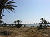 006 -  Isola di Jerba - Veduta dalla litoranea