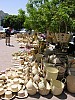 028 -  Isola di Jerba - Houmt Souk