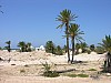 037 -  Isola di Jerba - Panorama