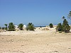 038 -  Isola di Jerba - Panorama