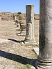 008 -  Thuburbo Majus - Sito archeologico romano