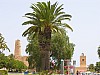 041 - Monastir