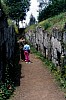 006 - Orvieto necropoli etrusca del crocifisso del tufo