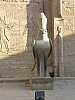 05 - Edfu - Il tempio di Horus - Statua del Dio Horus