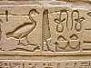 26 - Edfu - Il tempio di Horus - Geroglifici