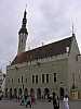 26 - Estonia - Tallinn - Centro storico - Il municipio