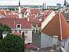 50 - Estonia - Tallinn - Centro storico - Panorama