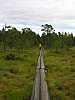 01 - Estonia - Kolga - Area naturalistica di Viru Raba