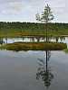 04 - Estonia - Kolga - Area naturalistica di Viru Raba