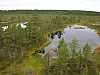 07 - Estonia - Kolga - Area naturalistica di Viru Raba