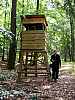 05 - Germania - Pecorso nel bosco - torretta di osservazione