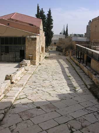 15 - Madaba - Parco archeologico