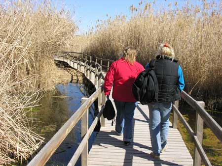 05 - Riserva naturale delle paludi di Azraq - Michela e Angela