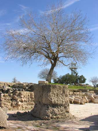 17 - Umm Qais Sito archeologico della citta' romana di Gadara