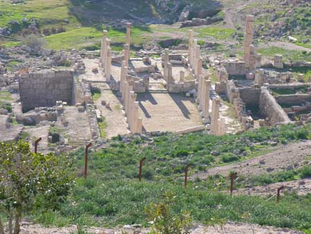 26 - Sito archeologico di Pella