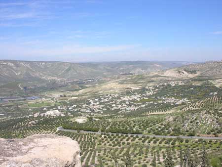 04 - Valle del Giordano - Panorama