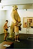 012 - Alesund - Museo Sunmore - orso polare