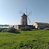 004 - Trapani - Oasi WWF delle saline