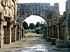 083 - Tindari - Area archeologica - Basilica