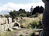 088 - Tindari - Area archeologica - Basilica