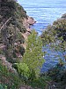 022 - Isola d'Elba