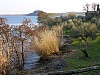 004 - Lago di Bolsena