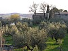 005 - Lago di Bolsena