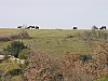 007 - Lago di Bolsena